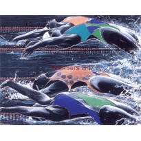 Cornice con Poster Nuoto 24x18