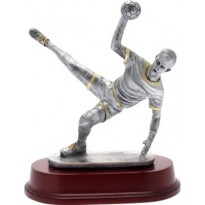 Trofeo Pallamano cm 21