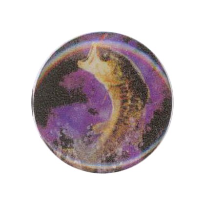 cod. P.PE.A1 - Adesivo resinato Pesca mm 25