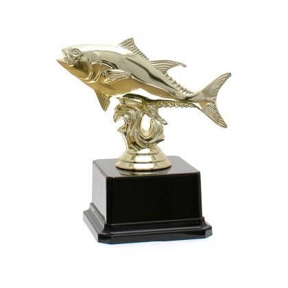 cod. P.PE17.337BS - Trofeo pesca cm 13 stock