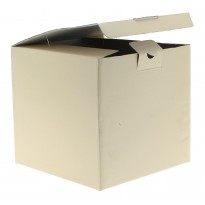 Scatola in cartone cm 22x23x23