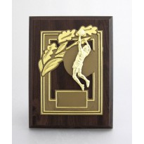 cod. P.TA20.01 - Targa cm 20x15