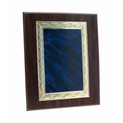 cod. P.TA38.02 - Targa cm 30