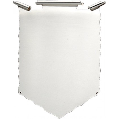 cod. P.TAQ20.462 - Targa silver cm 22x17