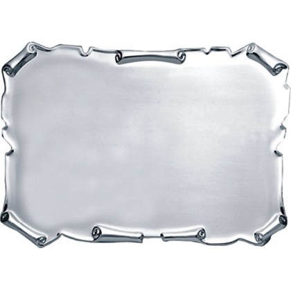 cod. P.TAQ20.471 - Targa silver cm 28x19