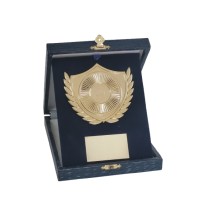 Targa e astuccio cm 13x16