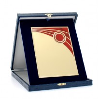 Targa e astuccio cm 19x23