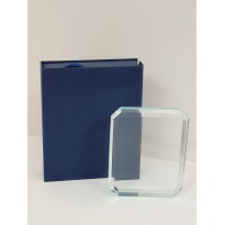 cod. P.TRC10.01 - Trofeo targa fermacarte cristallo cm 10x7