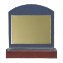 Trofeo targa cristallo cm 22