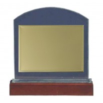 Trofeo targa cristallo cm 25