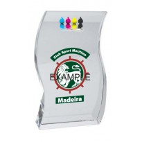 Trofeo targa cristallo cm 14x8