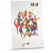 Trofeo cristallo cm 17X11,5x0,4