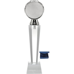 cod. P.TRC25.799 - Trofeo cristallo cm 30