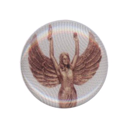 cod. P.VI.A7 - Adesivo resinato Vittoria mm 25