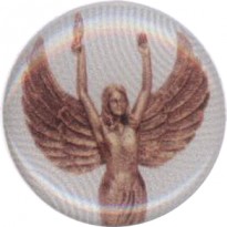 cod. P.VI.A7 - Adesivo resinato Vittoria mm 25