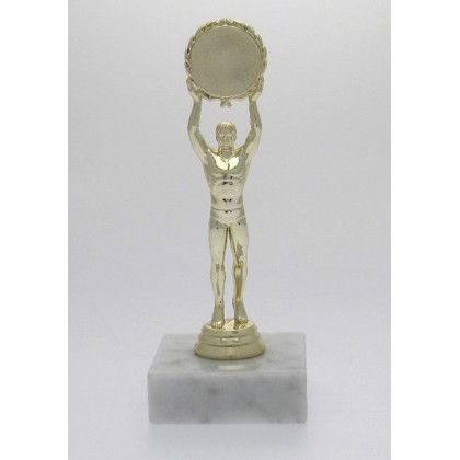cod. P.VI08 - Trofeo Vittoria M. cm 15