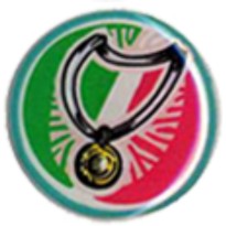 Adesivo resinato mm 25 Vittoria