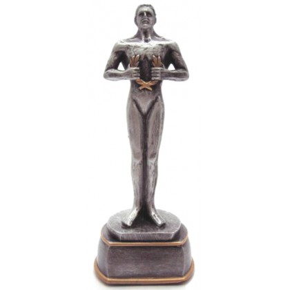 cod. P.VI27 - Trofeo Vittoria cm 24 achievement