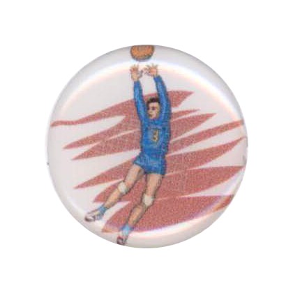 cod. P.VO.A2 - Adesivo resinato Volley mm 25