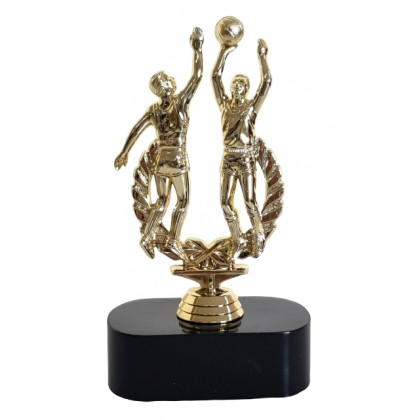 cod. P.VO07 - Trofeo Volley cm 20