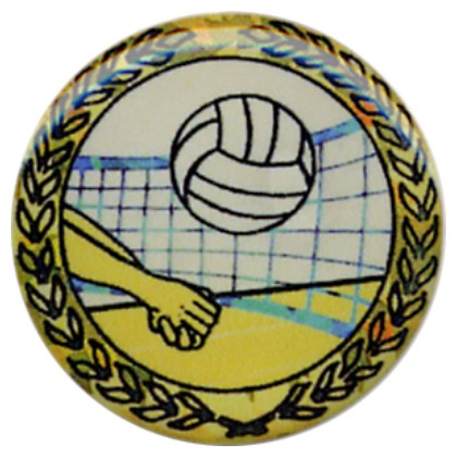 cod. P.VO23.X.46 - Adesivo resinato mm 25 Pallavolo