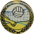 cod. P.VO23.X.46 - Adesivo resinato mm 25 Pallavolo