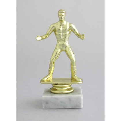 cod. P.WR01 - Trofeo Wrestling cm 14