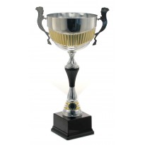 Trofeo con manici cm 32 ø 12