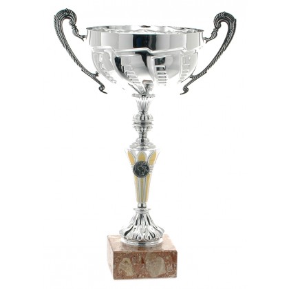 cod. P175.7421 - Trofeo con manici cm 46 ø 20