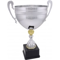 Trofeo con manici cm 50 ø 26