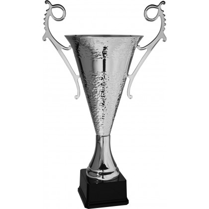 cod. P189.1212 - Trofeo con manici cm 64 ø 25