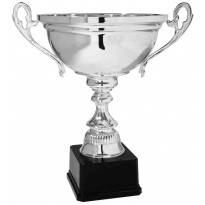 Trofeo con manici cm 42 ø 28