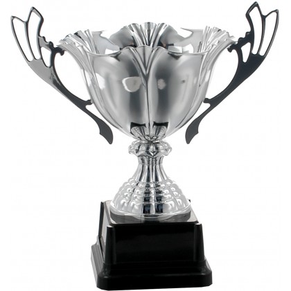 cod. P195.10305 - Trofeo con manici cm 21 ø 13