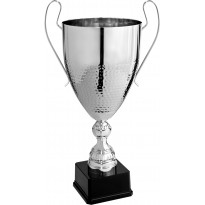 Trofeo con manici cm 53 ø 20