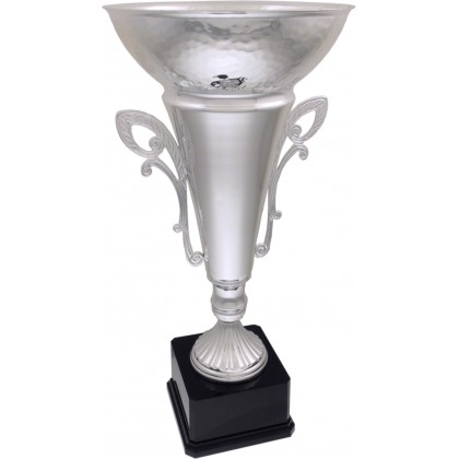 cod. P204.2193 - Trofeo con manici cm 42 ø 18