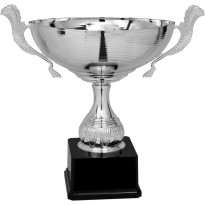 Trofeo con manici cm 36 ø 26