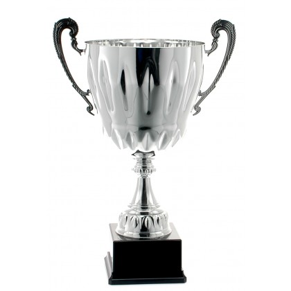 cod. P225.502 - Trofeo con manici cm 47 ø 22