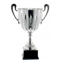 Trofeo con manici cm 47 ø 22