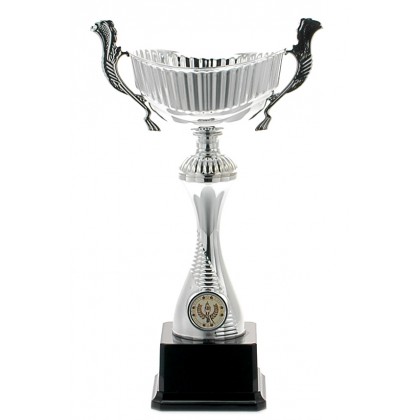 cod. P253.6384 - Trofeo con manici cm 29 ø 12