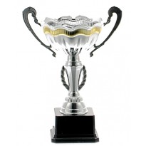 Trofeo con manici cm 20 ø 10