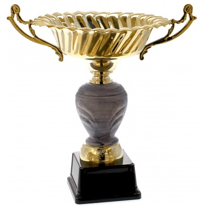 cod. P28.5132 - Trofeo con manici cm 38 ø 28