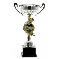 cod. P335.1 - Trofeo con manici cm 31 ø 12