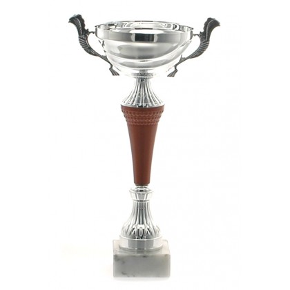 cod. P344.1 - Trofeo con manici cm 32 ø 12