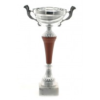 cod. P344.1 - Trofeo con manici cm 32 ø 12