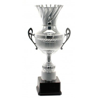 cod. P352.1 - Trofeo con manici cm 46 ø 16