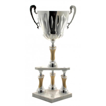 cod. P368.3402 - Trofeo con manici cm 65 ø 22