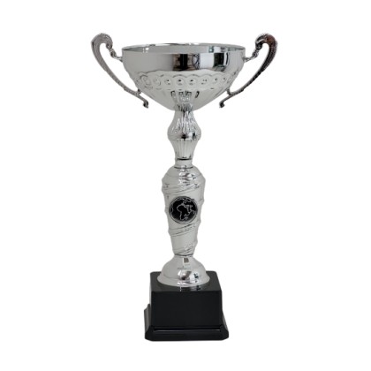cod. P451.8014 - Trofeo con manici cm 30 ø 12