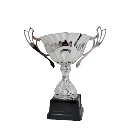 cod. P452.8255 - Trofeo con manici cm 24 ø 12