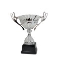cod. P452.8255 - Trofeo con manici cm 24 ø 12