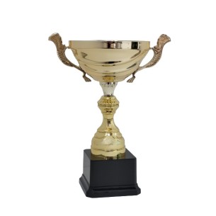 cod. P453.744 - Trofeo con manici cm 24 ø 12